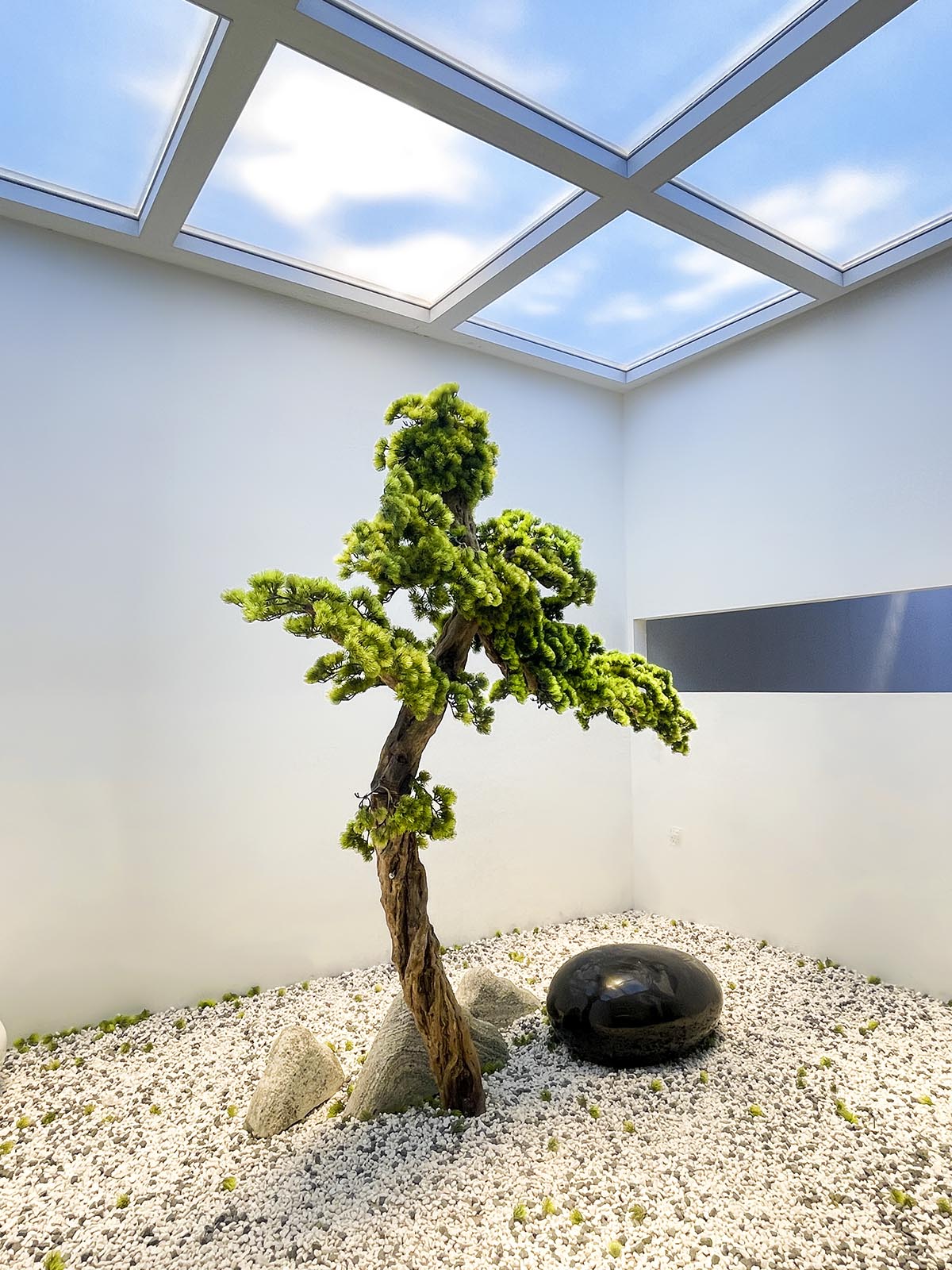 植物特写 (1)