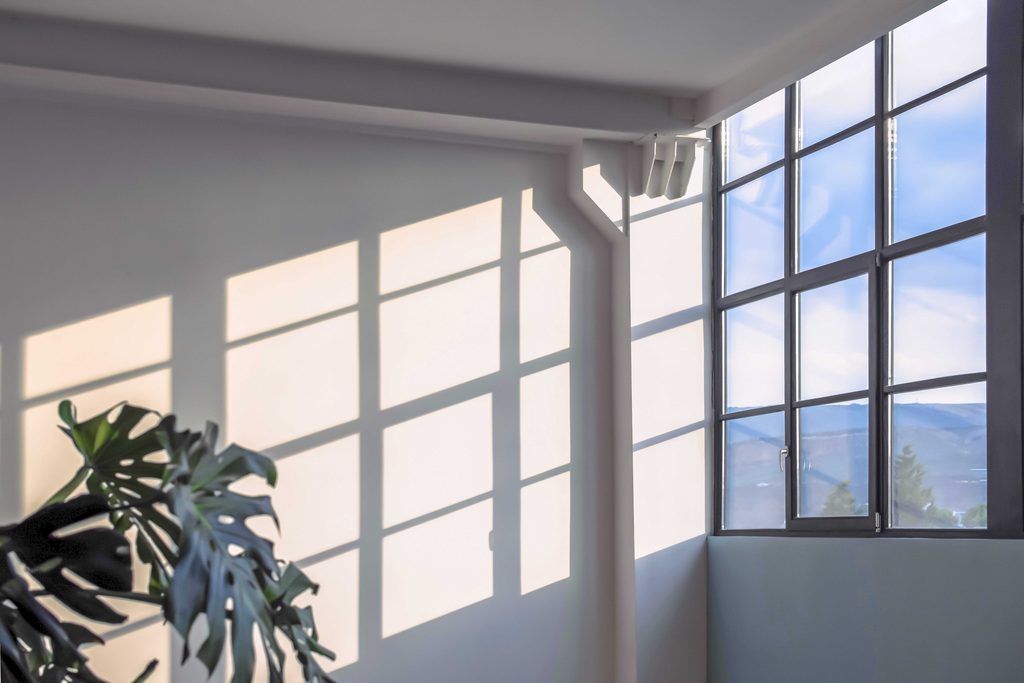 Artificial Skylight daylight coelux nature connect